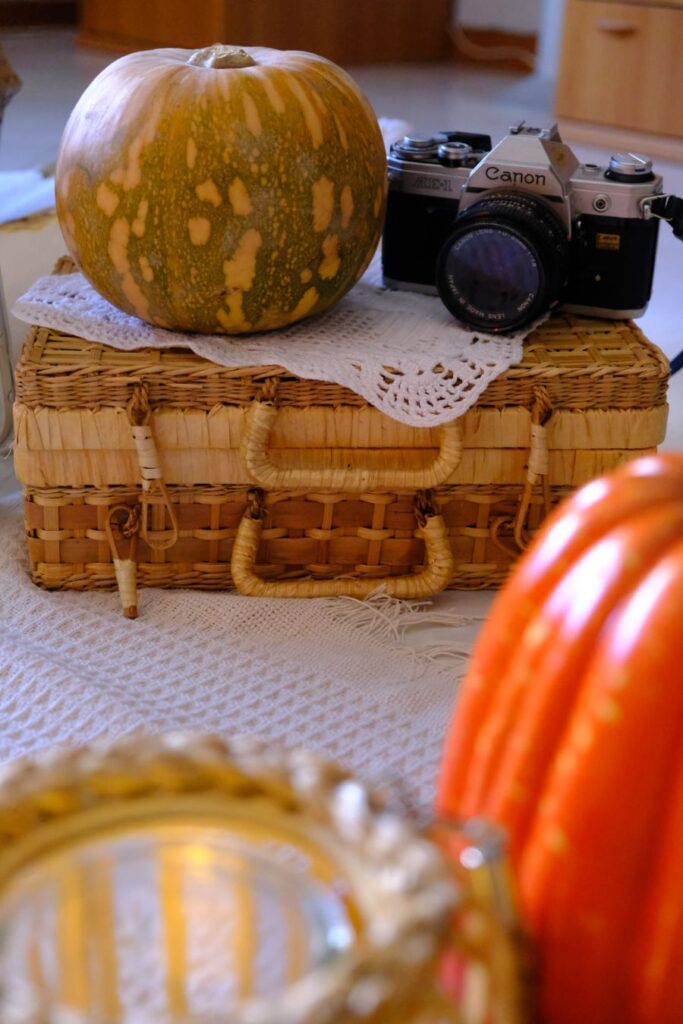 luxury picnic autunnale