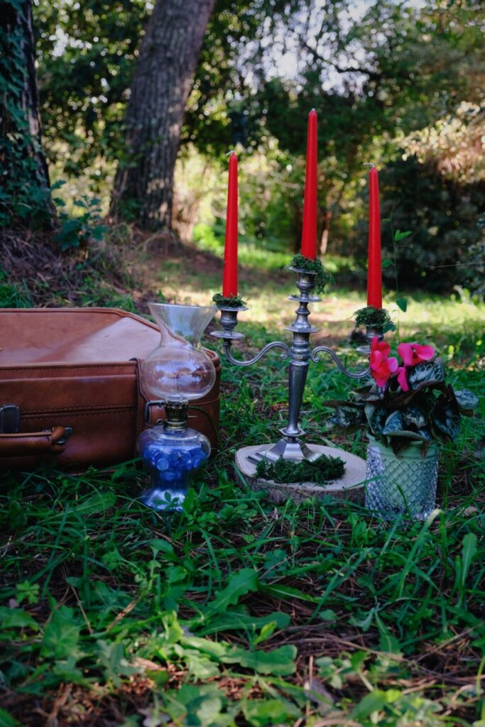 allestimento luxury picnic a tema Biancaneve